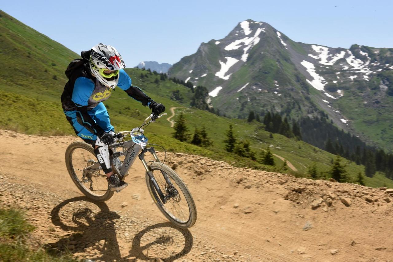 Nant Crue - Snow And Trek Morzine Exterior foto
